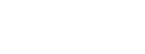 FlyMasti