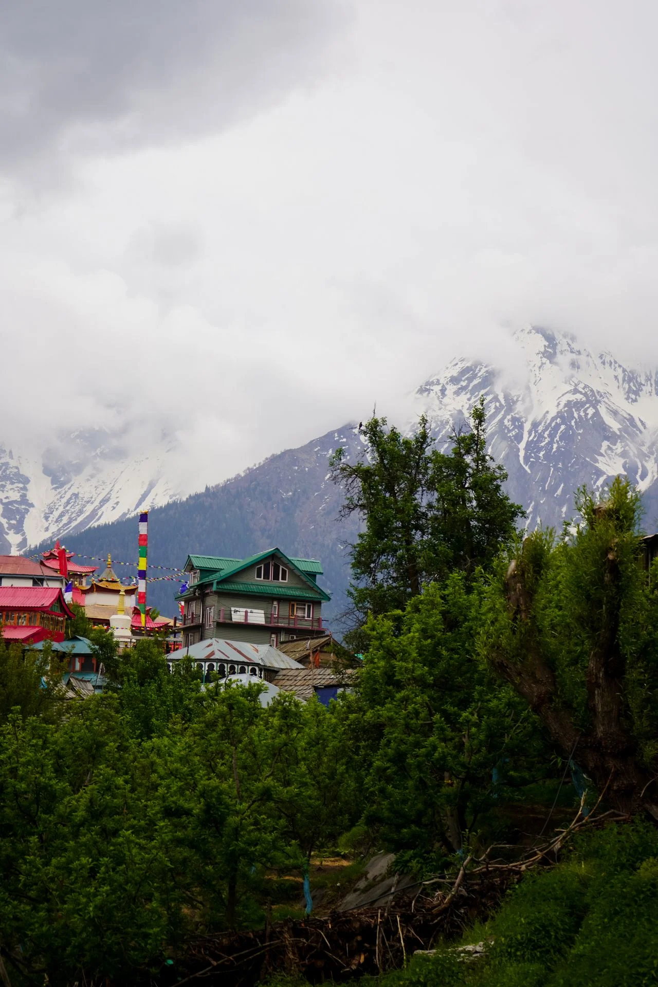 Himachal Trip to McLeodganj Triund and Bir